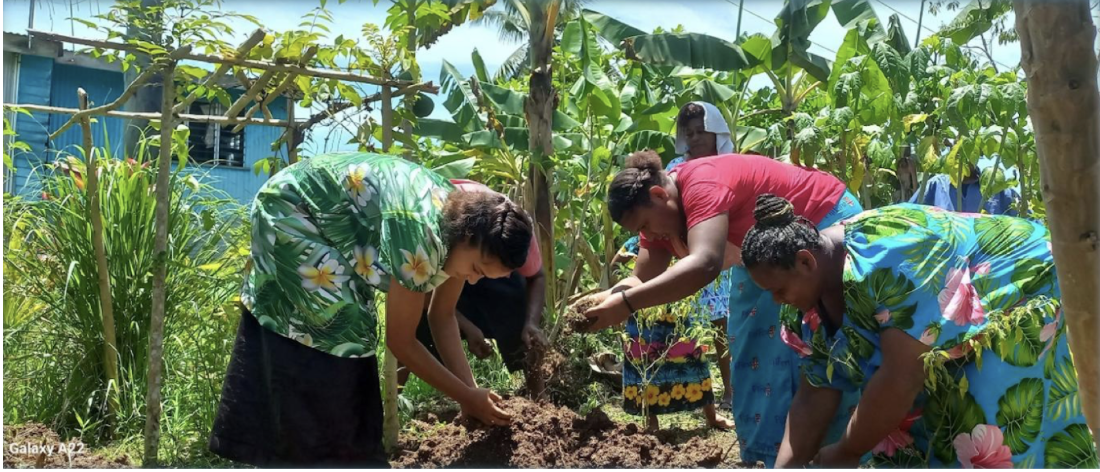 Farmers in Fiji